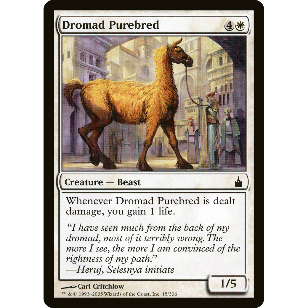 Dromad Purebred (RAV-015) - Ravnica: City of Guilds