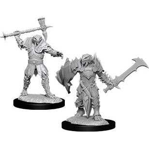 W12 Male Dragonborn Paladin Miniatures
