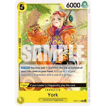 York (OP07-110) - 500 Years in the Future