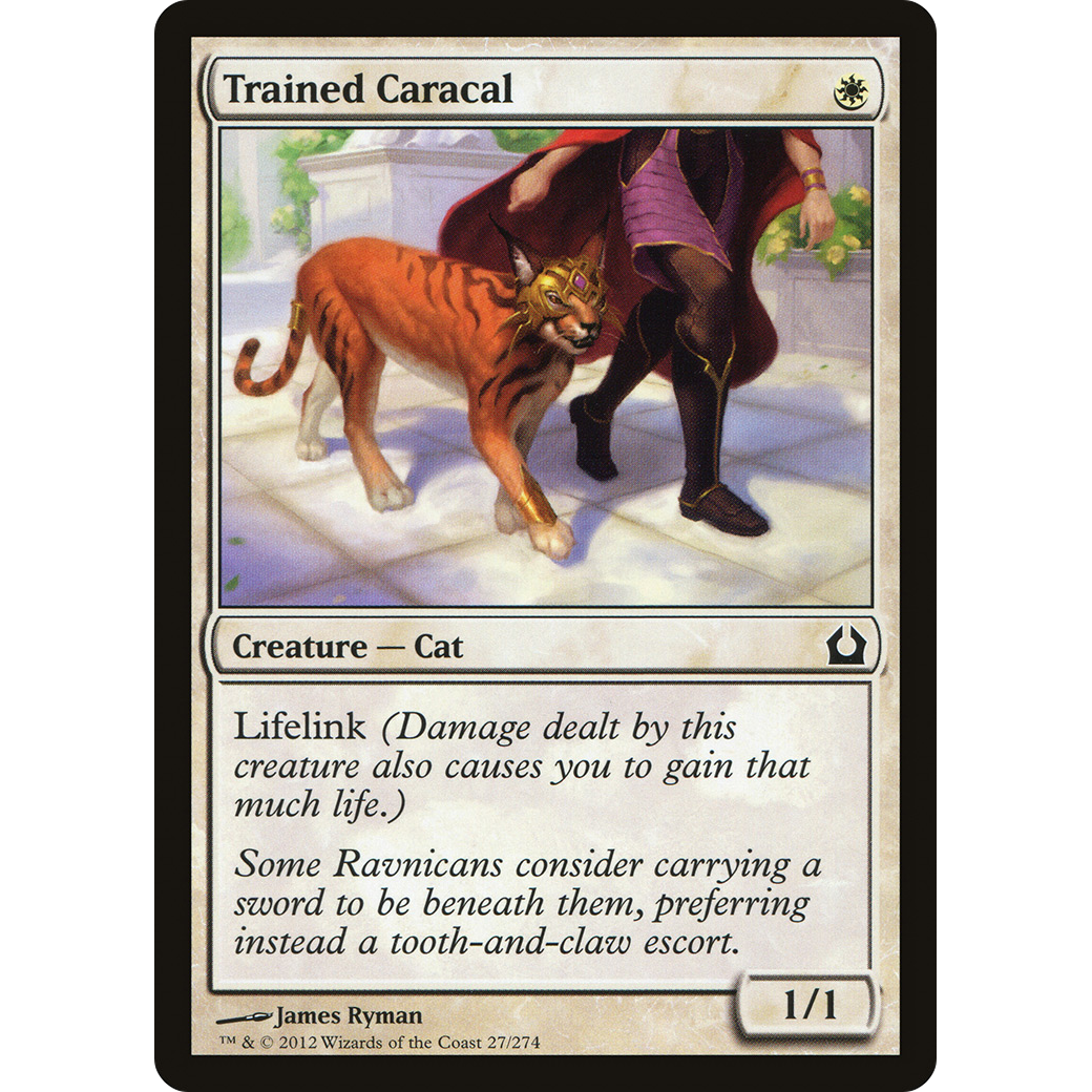 Trained Caracal (RTR-027) - Return to Ravnica Foil
