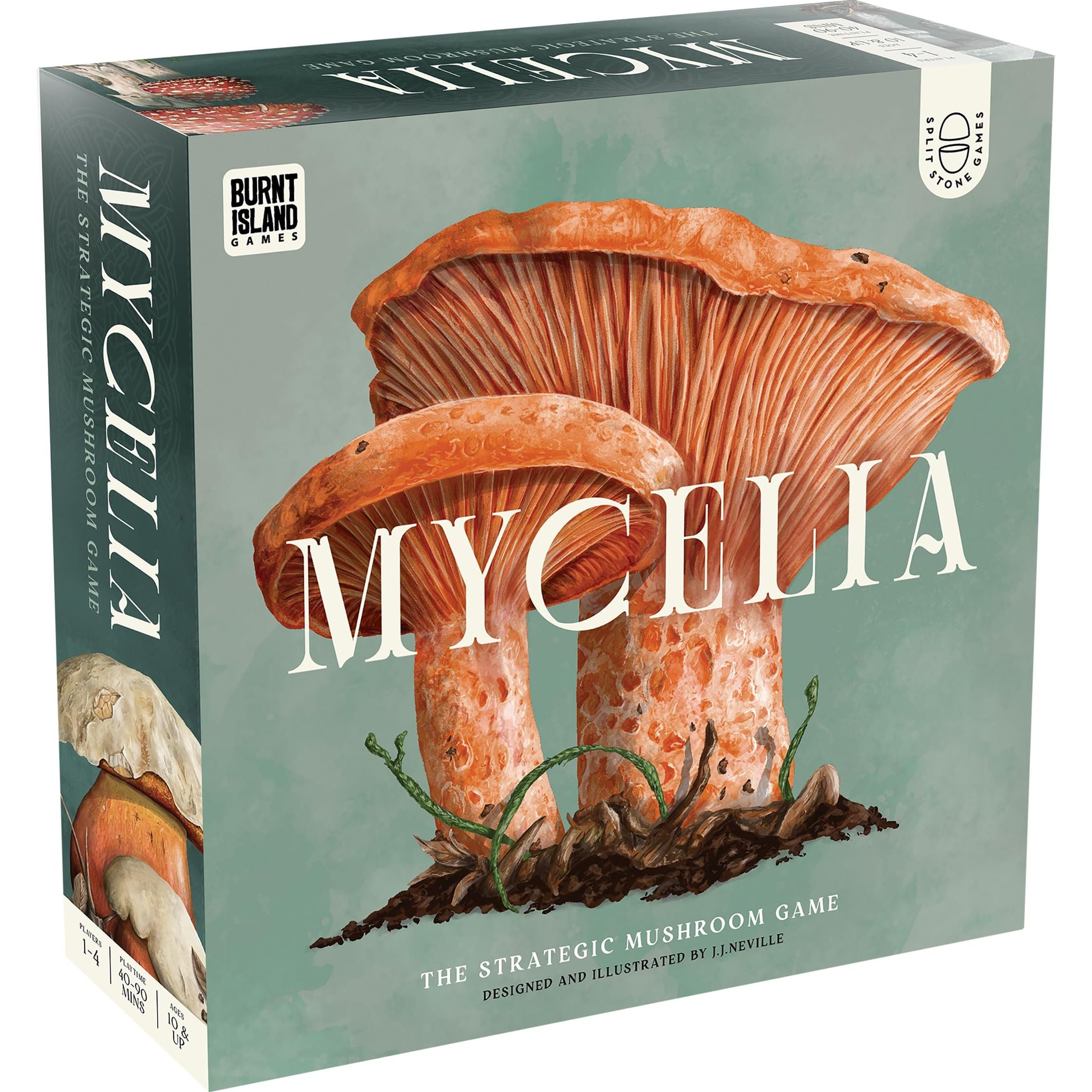 Mycelia