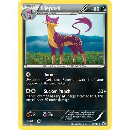 Liepard 67/114 - Black and White