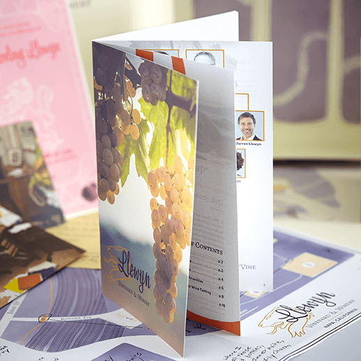 Hunt A Killer: Dead on the Vine, Winery Murder Mystery Game