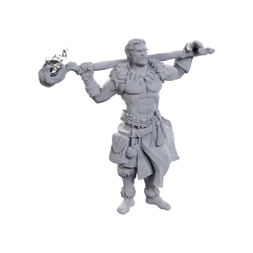 D&D Nolzur's Marvelous Miniatures: Archdruid & Martial Arts Adept