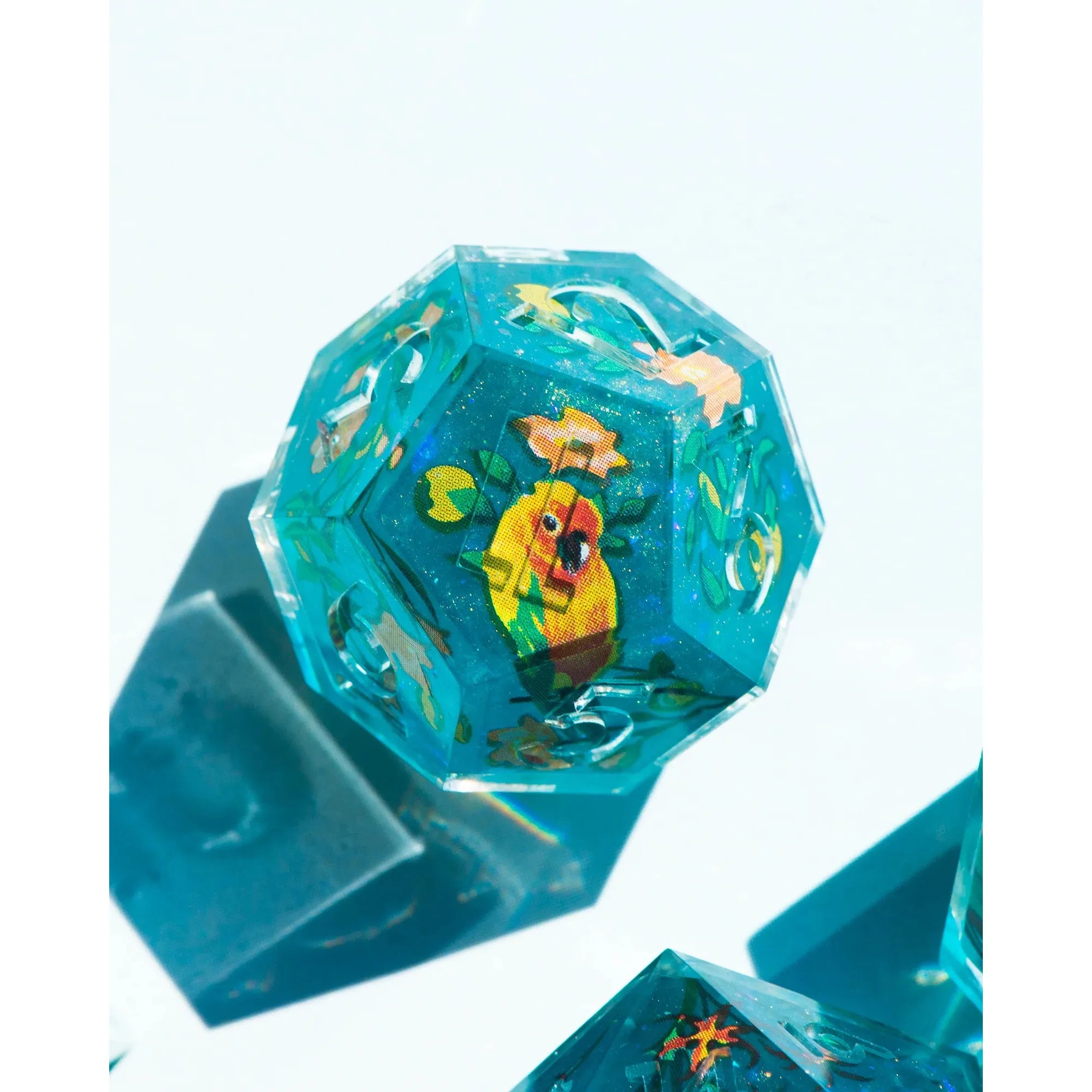 Join The Party Plant Pirates 7-Piece Iconic Dice Set