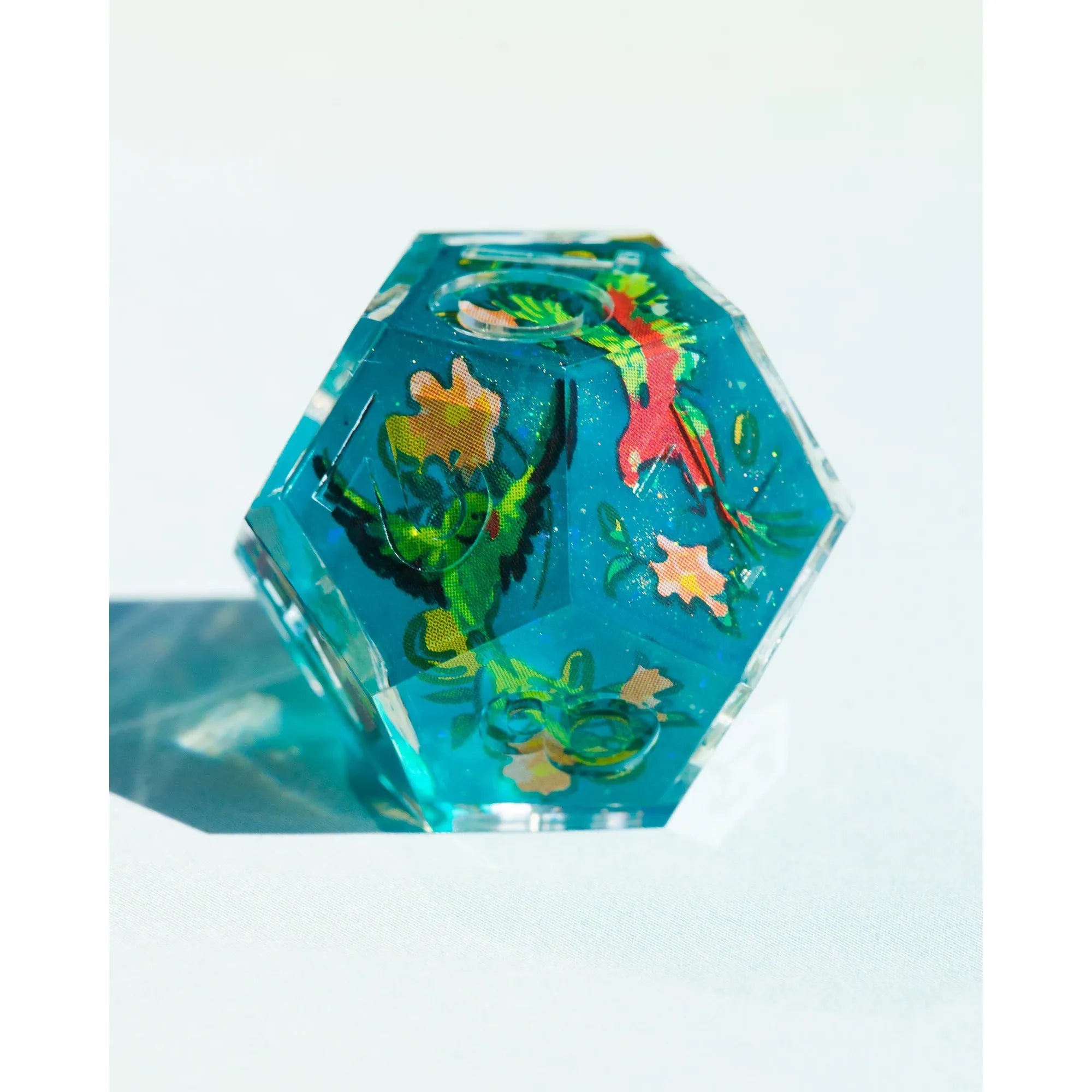 Join The Party Plant Pirates 7-Piece Iconic Dice Set