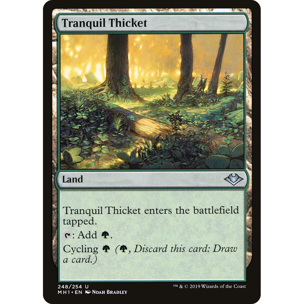 Tranquil Thicket (MH1-248) - Modern Horizons Foil