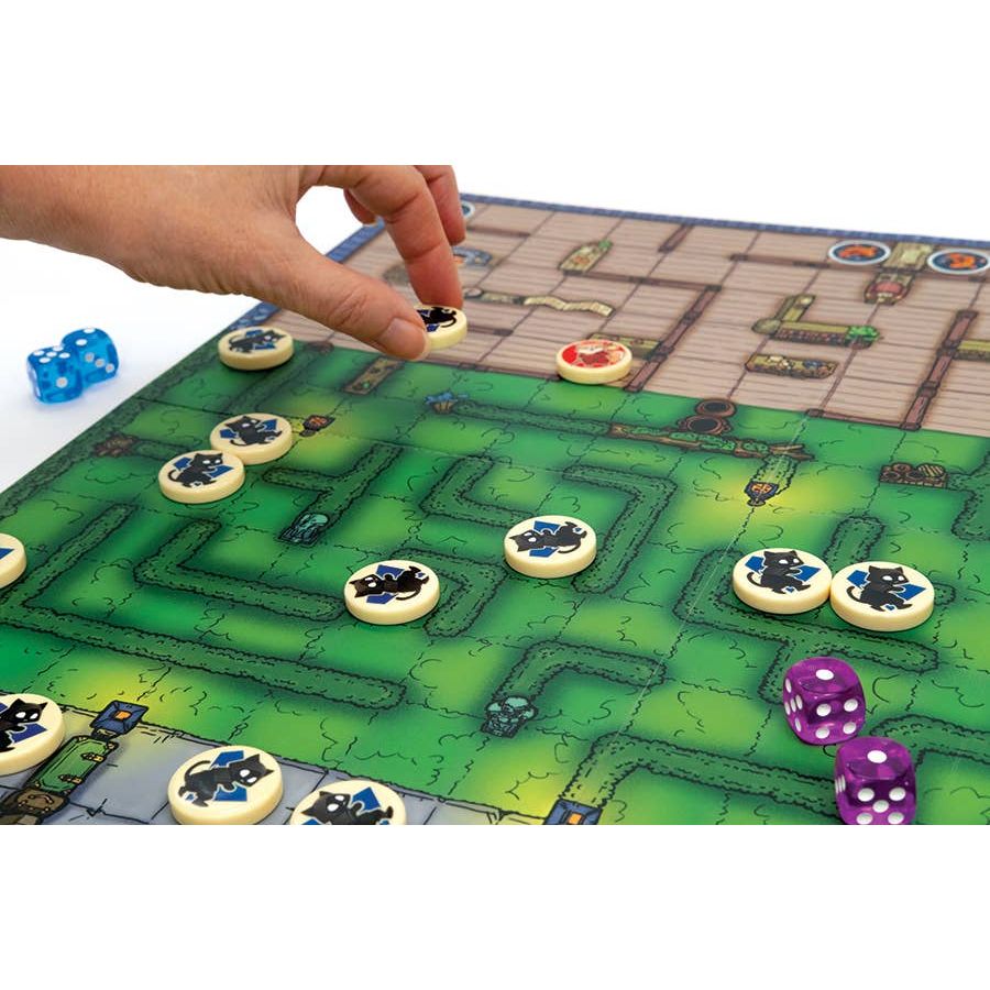 Shadow Ninjas Board Game: A Devious Game of Decoy and Detect