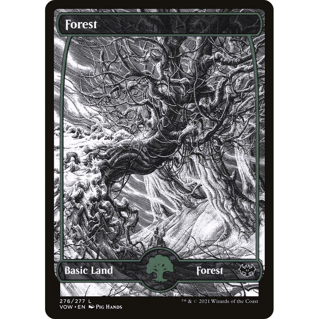 Forest (276) (VOW-276) - Innistrad: Crimson Vow: (Showcase)