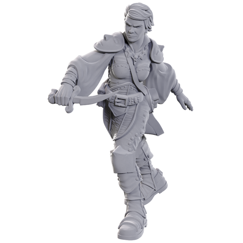 W25 Swashbuckler Miniature