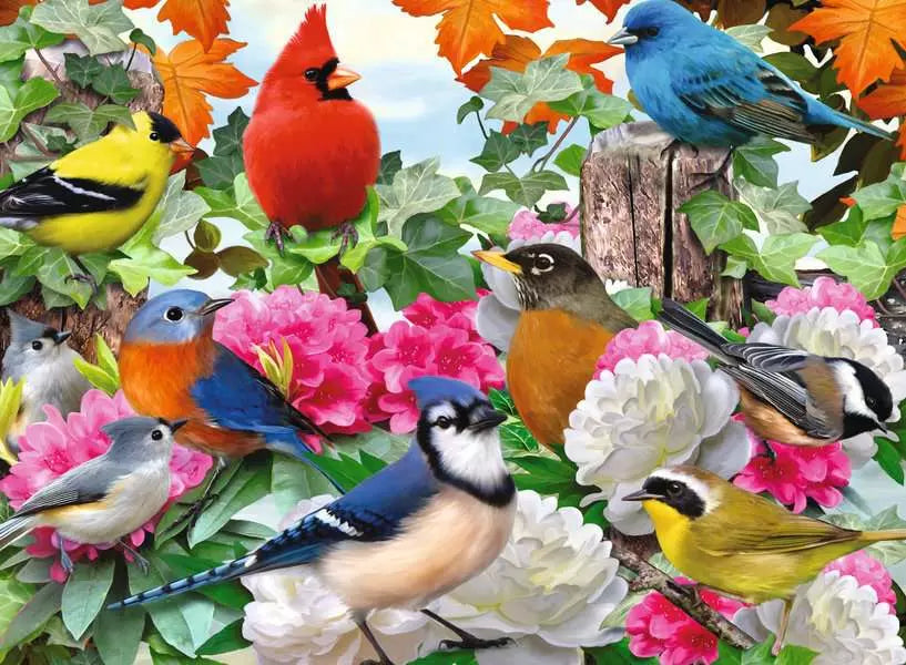 Garden Birds 500pc Puzzle