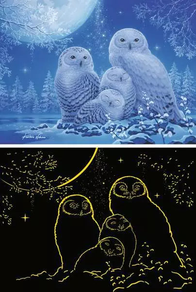 Owls in the Moonlight: Glow-in-the-Dark 500pc Puzzle
