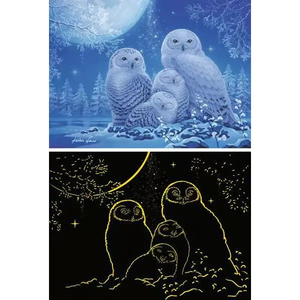 Owls in the Moonlight: Glow-in-the-Dark 500pc Puzzle