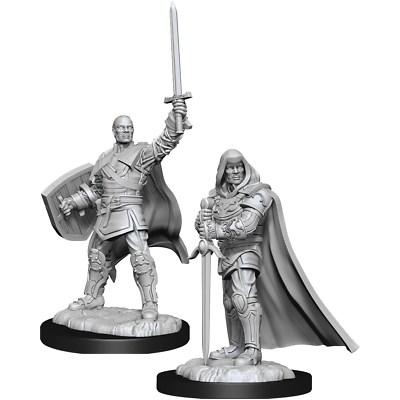 W13 Human Paladin Male Miniatures