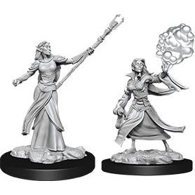 W12 Female Elf Sorcerer Miniatures