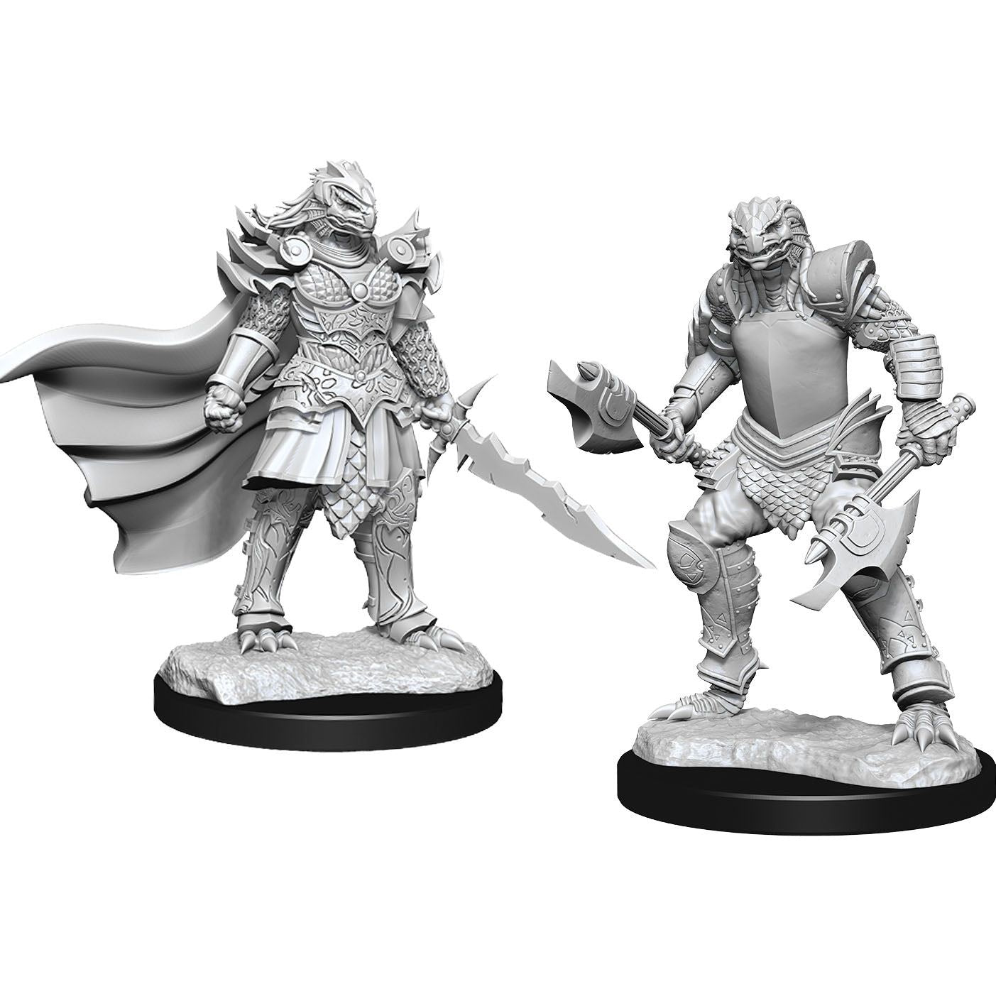 W15 Dragonborn Fighter Female Miniatures