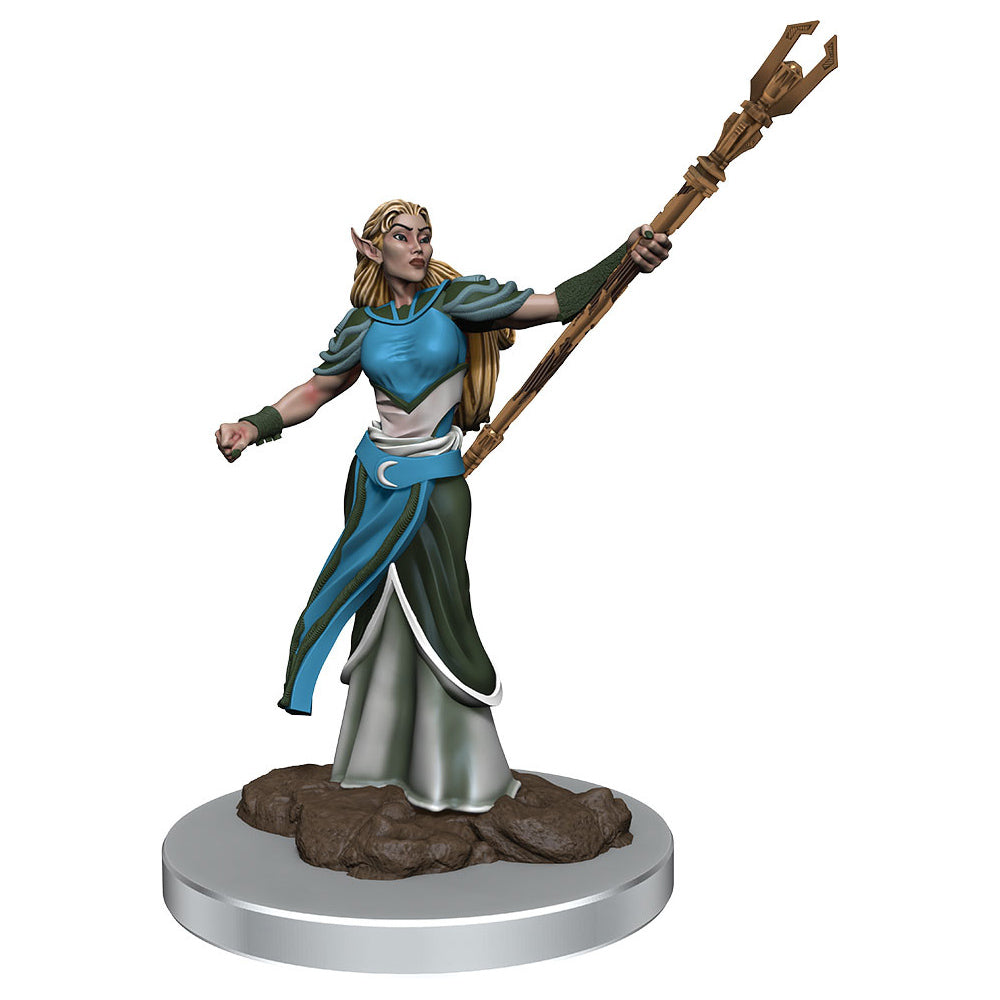 W07 Female Elf Sorcerer Premium Miniature