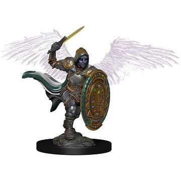 W02 Aasimar Male Paladin Premium Miniature