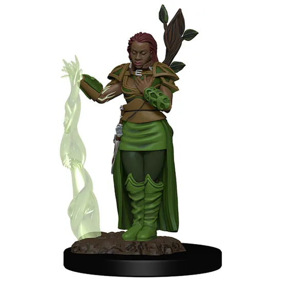 W02 Human Female Druid Premium Miniature