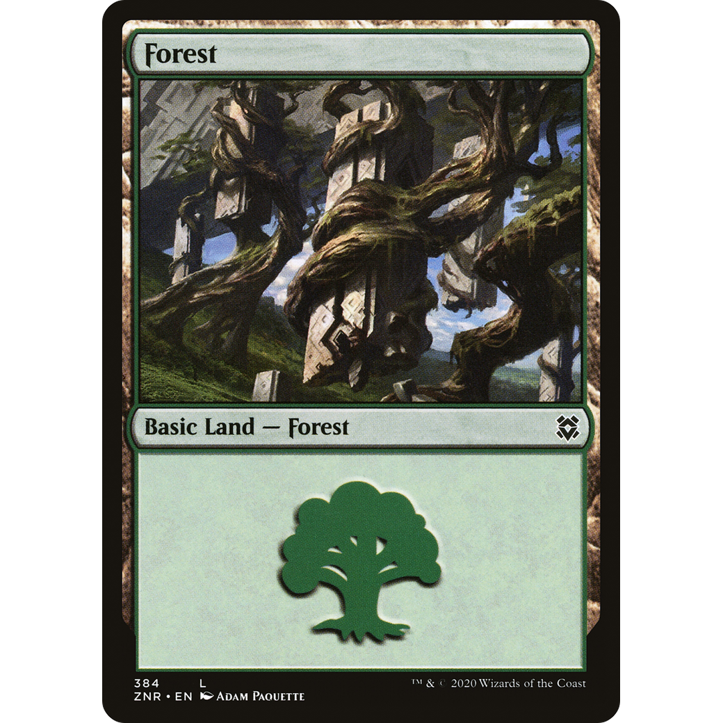 Forest (ZNR-384) - Zendikar Rising
