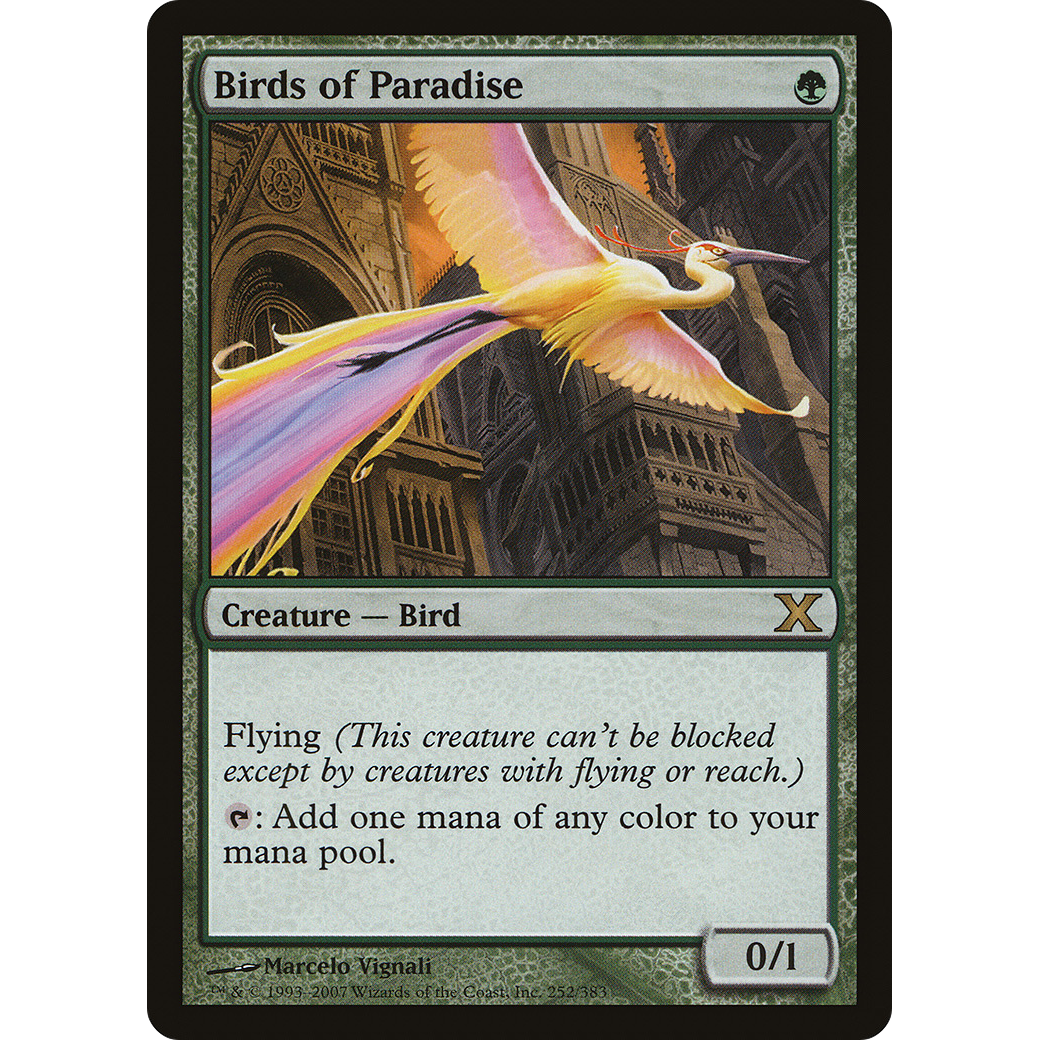 Birds of Paradise (10E-252) - Tenth Edition