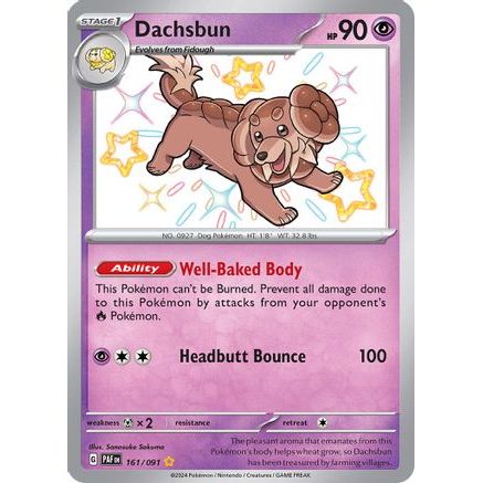 Dachsbun - 161/091 161 - SV Paldean Fates Holofoil