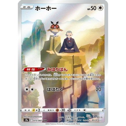 Hoothoot - 073/067 (073/067) - S9a Battle Region Holofoil