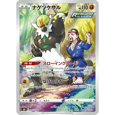 Passimian - 203/184 (203/184) - S8b VMAX Climax Holofoil