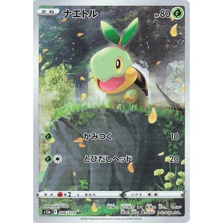 Turtwig - 206/172 (206/172) - S12a VSTAR Universe Holofoil