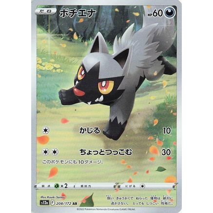 Poochyena - 208/172 (208/172) - S12a VSTAR Universe Holofoil