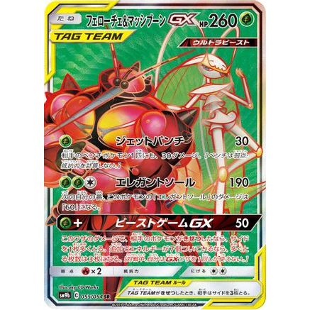 Pheromosa & Buzzwole - 055/054 (055/054) - SM9b Full Metal Wall Holofoil