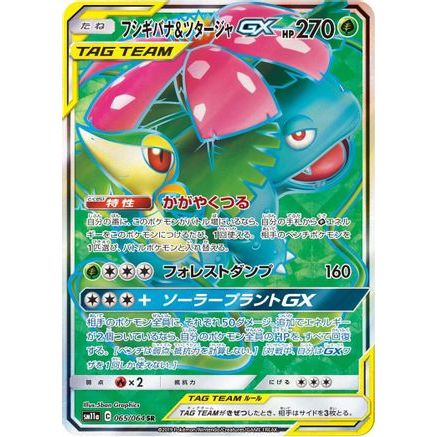 Venusaur & Snivy GX - 065/064 (065/064) - SM11a Remix Bout Holofoil