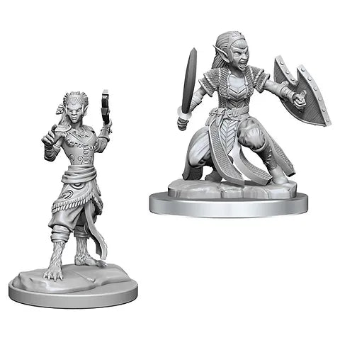 W20 Shifter Fighter Miniatures