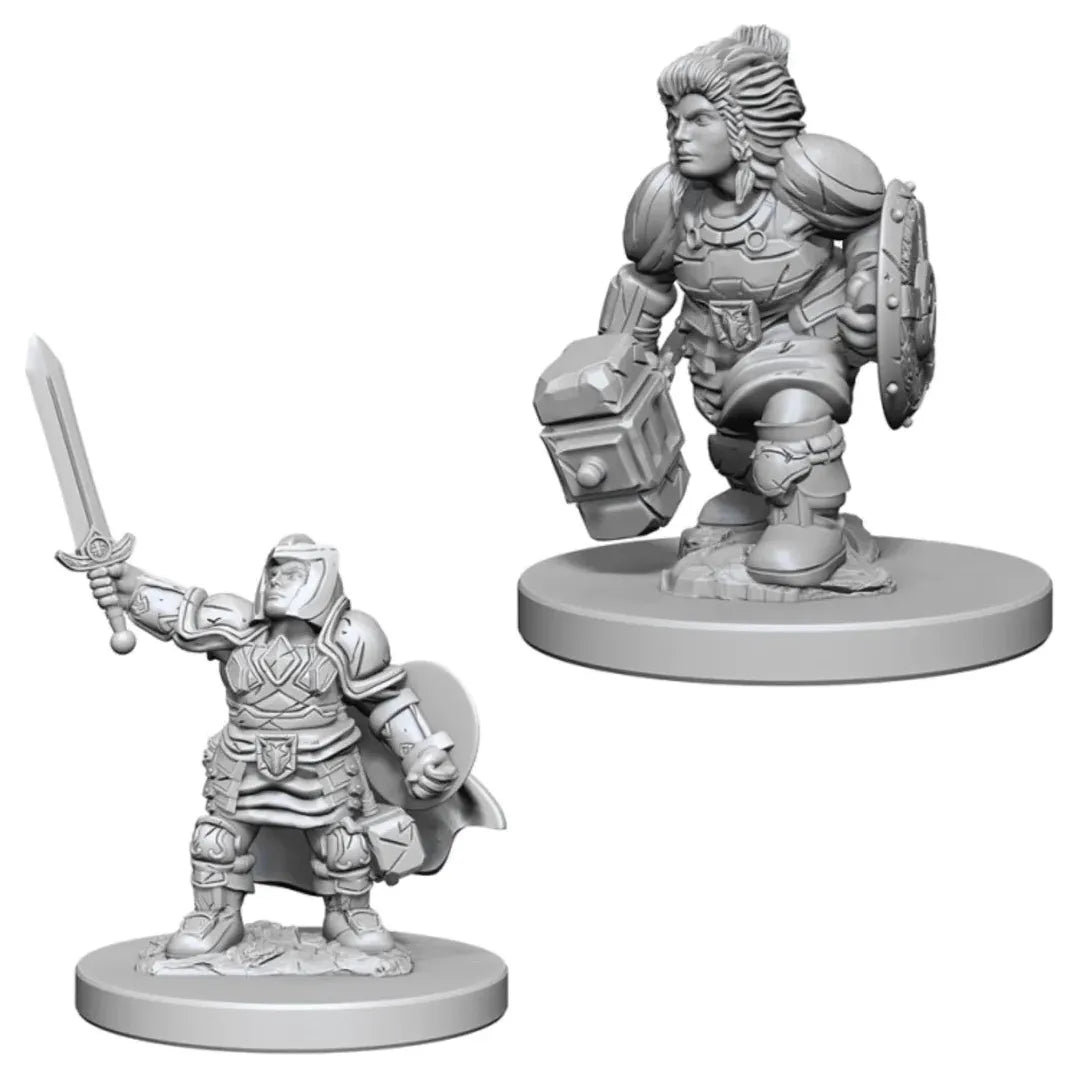 W03 Female Dwarf Paladin Miniatures