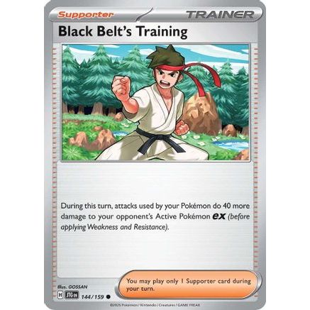 Black Belt's Training - 144/159 144 - SV09 Journey Together