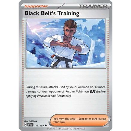 Black Belt's Training - 145/159 145 - SV09 Journey Together Reverse Holofoil