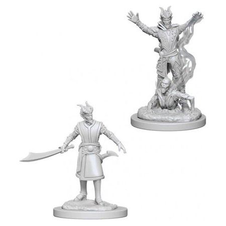 W06 Male Tiefling Warlock Miniatures