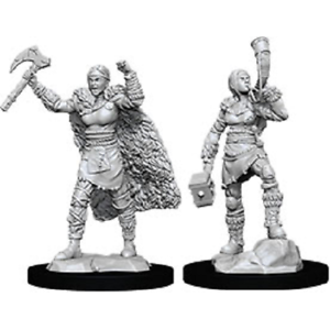 W12 Female Human Barbarian Miniatures