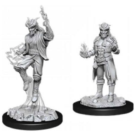 W12 Male Tiefling Sorcerer Miniatures