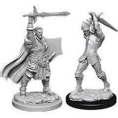 W12 Male Human Paladin Miniatures