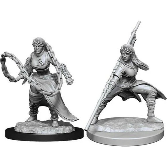 W14 Human Monk Female Miniatures