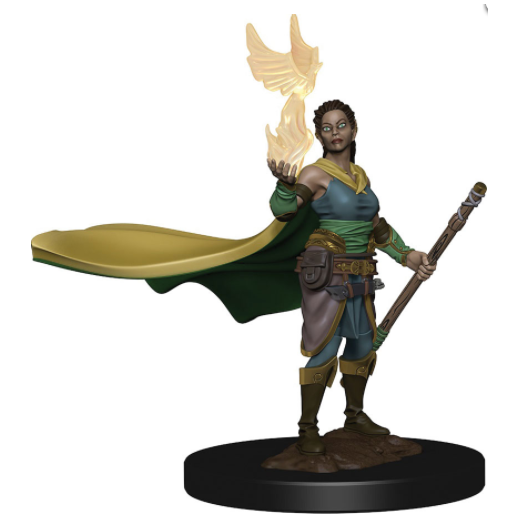 W01 Elf Female Druid Premium Miniature