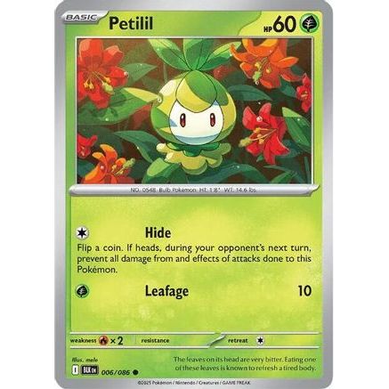 Petilil 6 - SV Black Bolt
