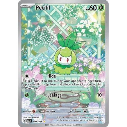 Petilil - 091/086 91 - SV Black Bolt Holofoil
