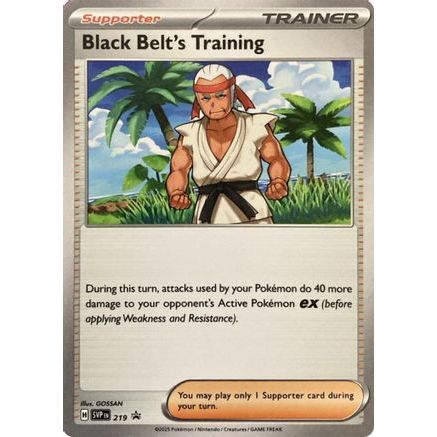 Black Belt's Training - 219 219 - SV Scarlet & Violet Promo Cards