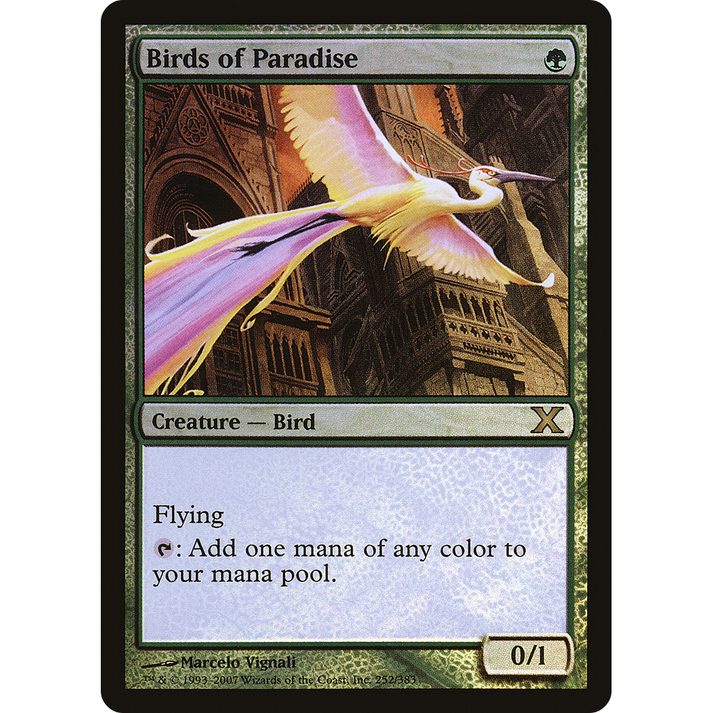 Birds of Paradise (10E-252★) - Tenth Edition Foil
