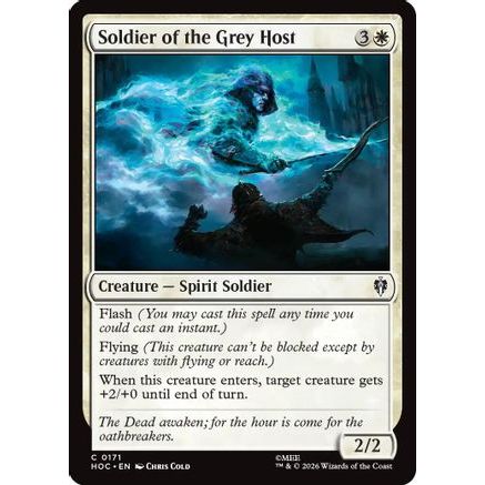 Soldier of the Grey Host (HOC-171) - The Hobbit: Eternal-Legal