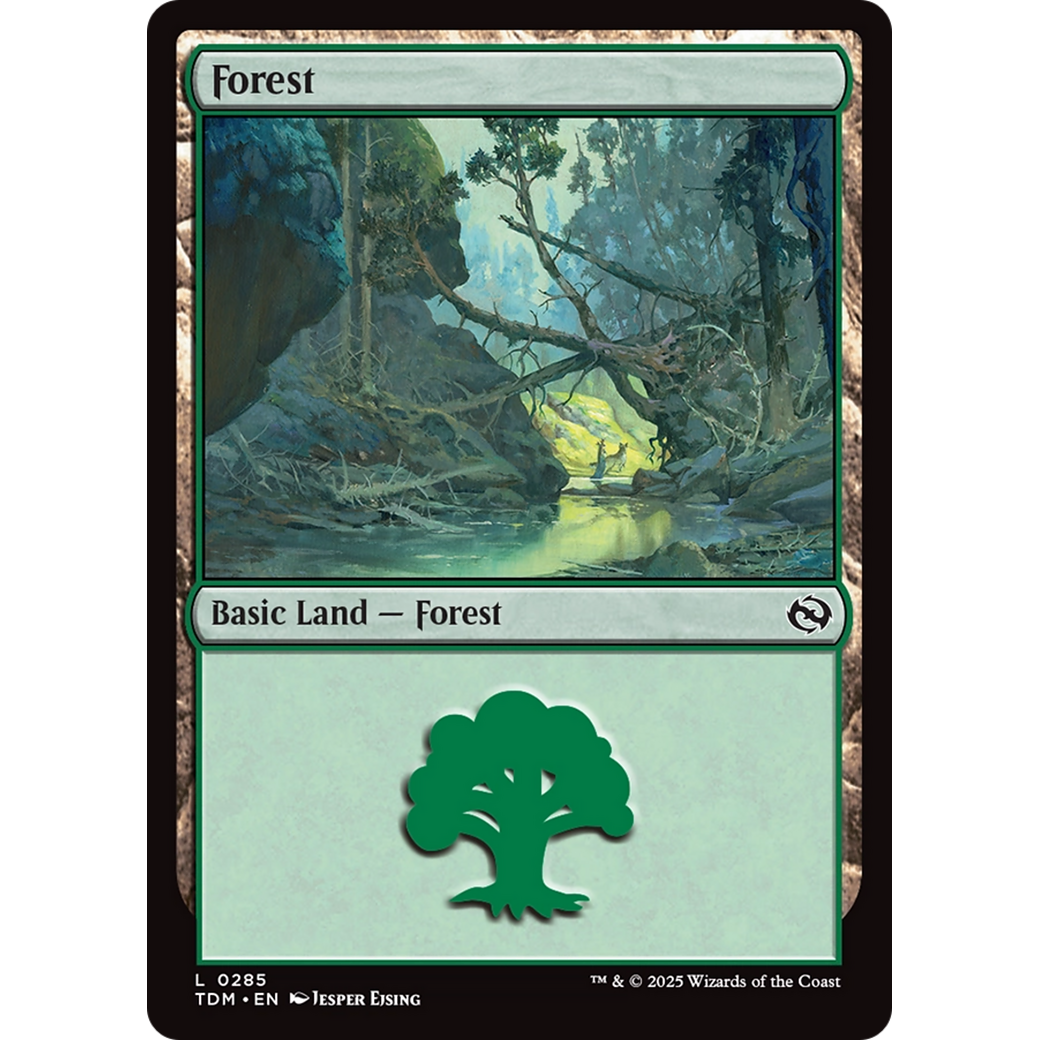 Forest (TDM-285) - Tarkir: Dragonstorm Foil