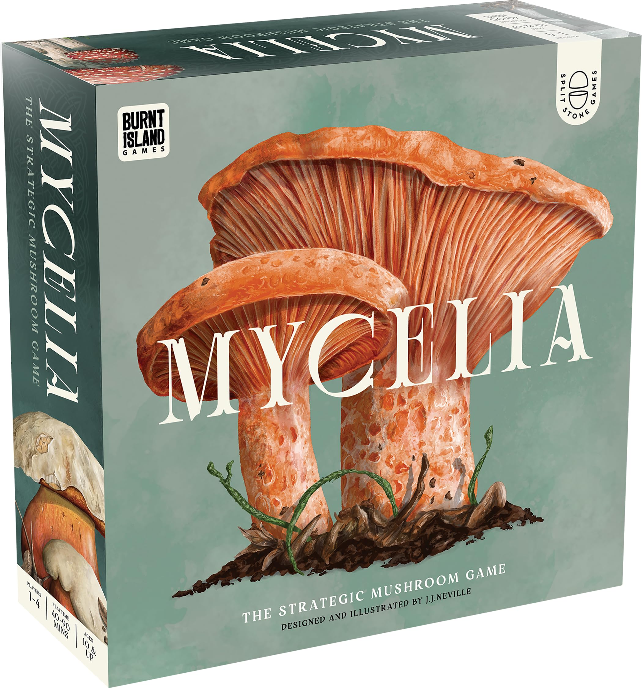 Mycelia