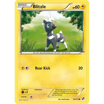 Blitzle (40) 40/114 - Black and White Reverse Holofoil